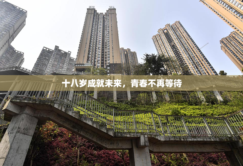 十八岁成就未来，青春不再等待