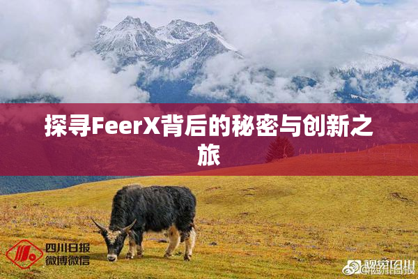 探寻FeerX背后的秘密与创新之旅