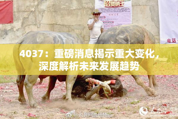 4037：重磅消息揭示重大变化，深度解析未来发展趋势