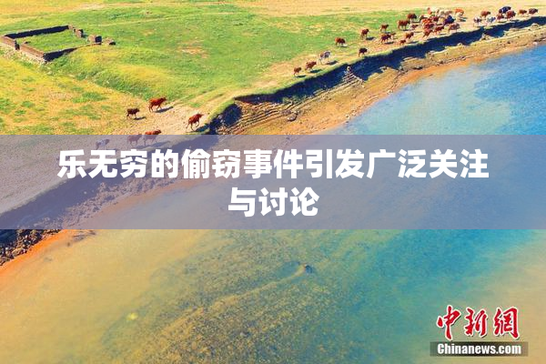 乐无穷的偷窃事件引发广泛关注与讨论