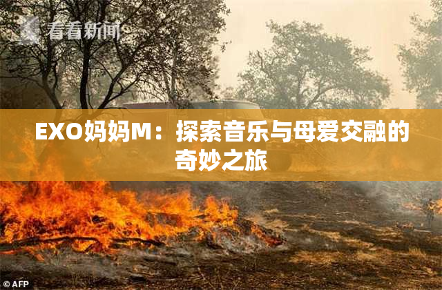 EXO妈妈M：探索音乐与母爱交融的奇妙之旅