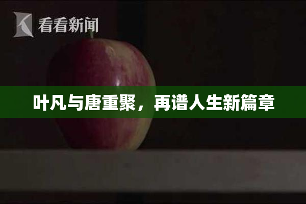 叶凡与唐重聚，再谱人生新篇章