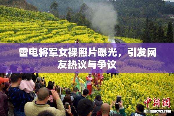 雷电将军女裸照片曝光，引发网友热议与争议