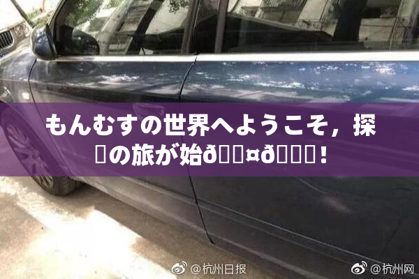 もんむすの世界へようこそ，探険の旅が始🖤🌃！