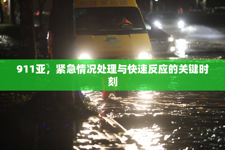 911亚，紧急情况处理与快速反应的关键时刻
