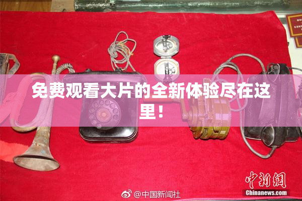 免费观看大片的全新体验尽在这里！