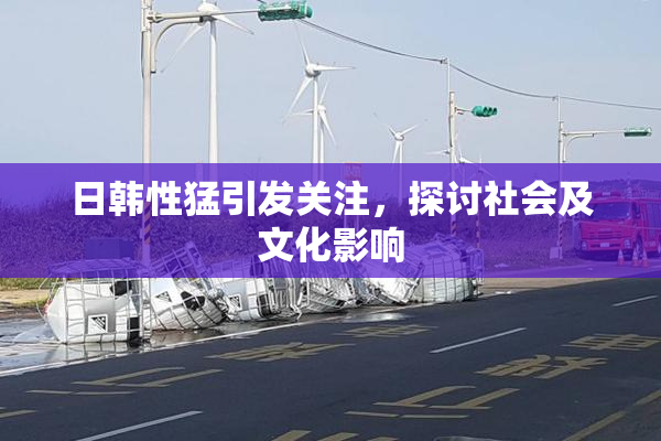 日韩性猛引发关注，探讨社会及文化影响