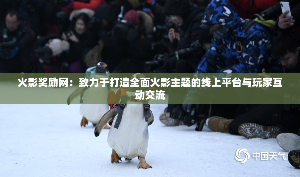 火影奖励网：致力于打造全面火影主题的线上平台与玩家互动交流