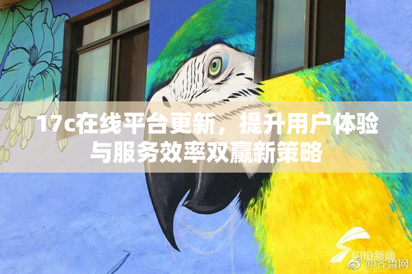 17c在线平台更新，提升用户体验与服务效率双赢新策略