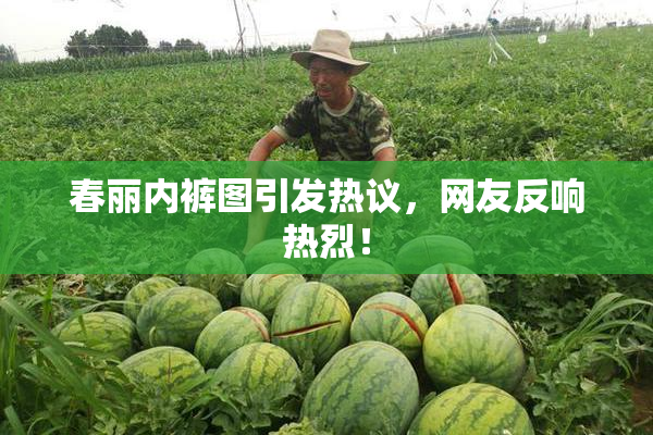 春丽内裤图引发热议，网友反响热烈！