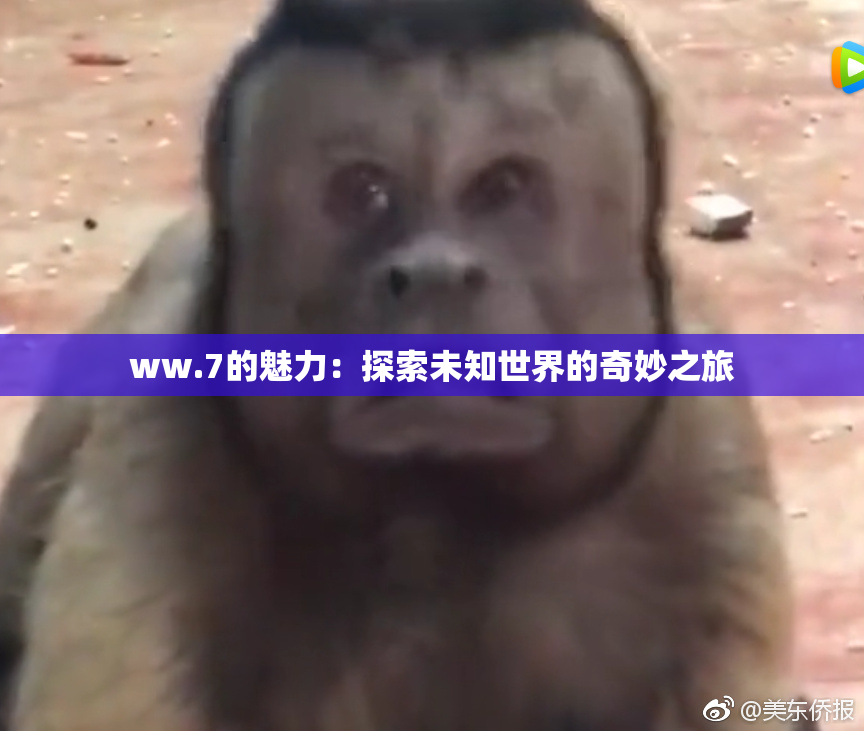 ww.7的魅力：探索未知世界的奇妙之旅