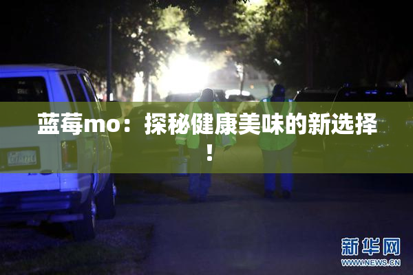 蓝莓mo：探秘健康美味的新选择！