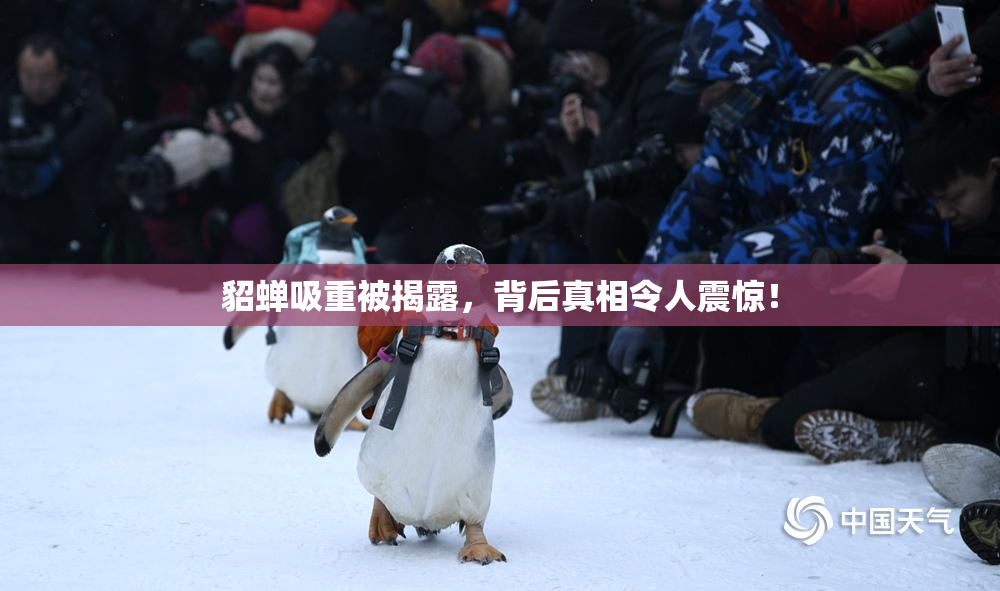 貂蝉吸重被揭露，背后真相令人震惊！