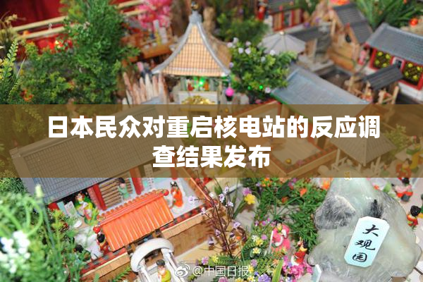 日本民众对重启核电站的反应调查结果发布