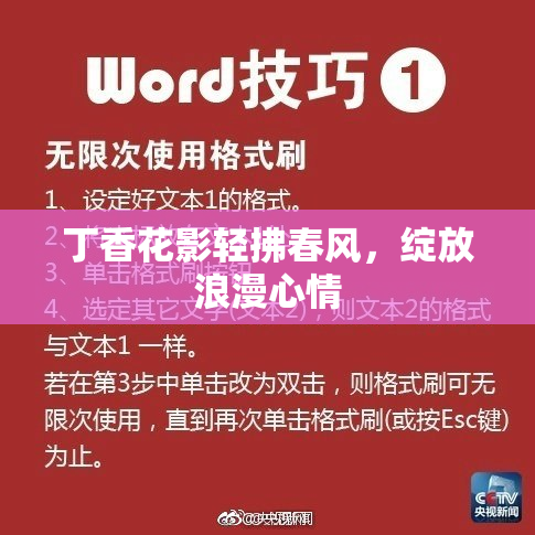 丁香花影轻拂春风，绽放浪漫心情