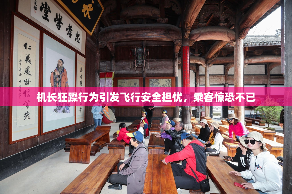 机长狂躁行为引发飞行安全担忧，乘客惊恐不已