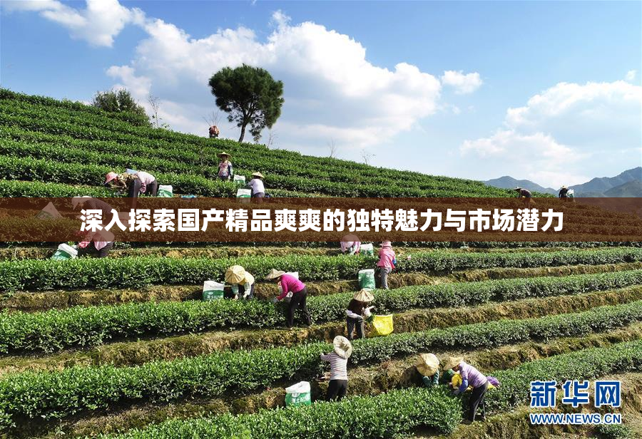 深入探索国产精品爽爽的独特魅力与市场潜力
