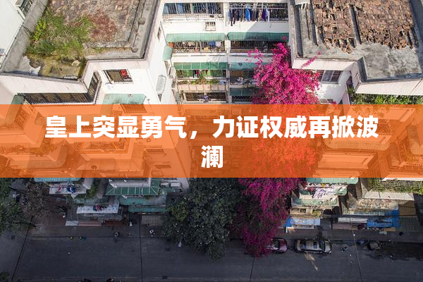 皇上突显勇气，力证权威再掀波澜