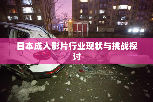 日本成人影片行业现状与挑战探讨