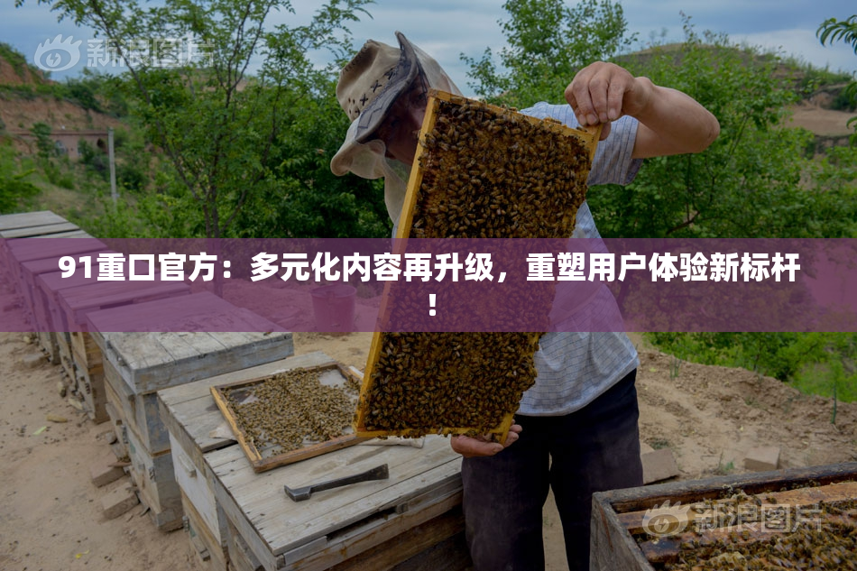 91重口官方：多元化内容再升级，重塑用户体验新标杆！