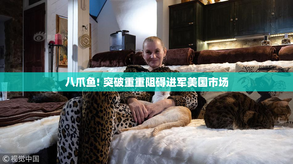 八爪鱼! 突破重重阻碍进军美国市场