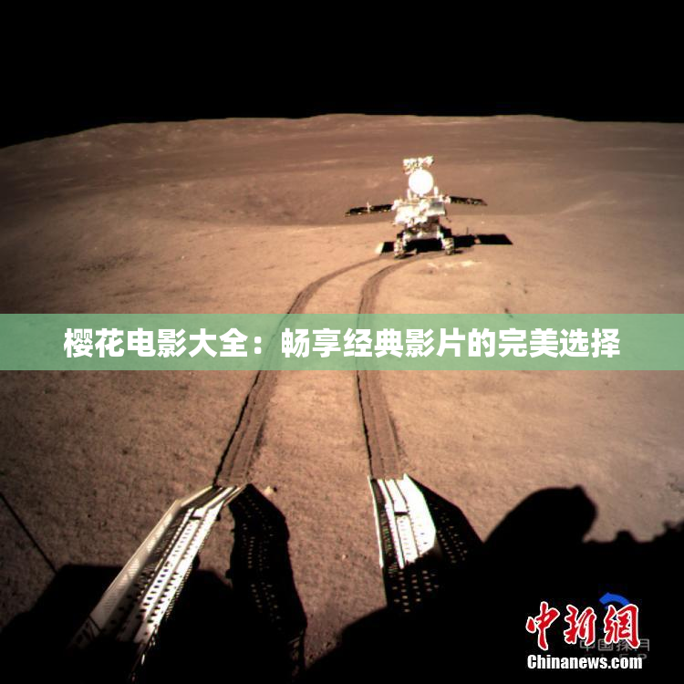 樱花电影大全：畅享经典影片的完美选择