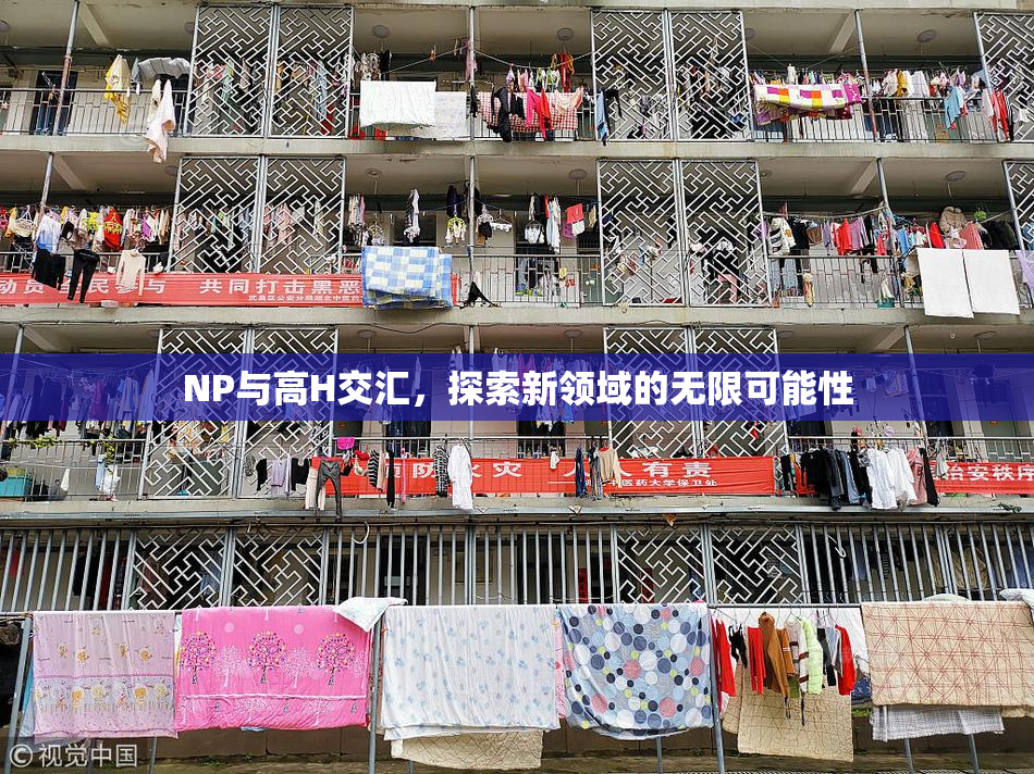 NP与高H交汇，探索新领域的无限可能性