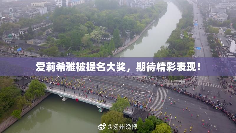 爱莉希雅被提名大奖，期待精彩表现！