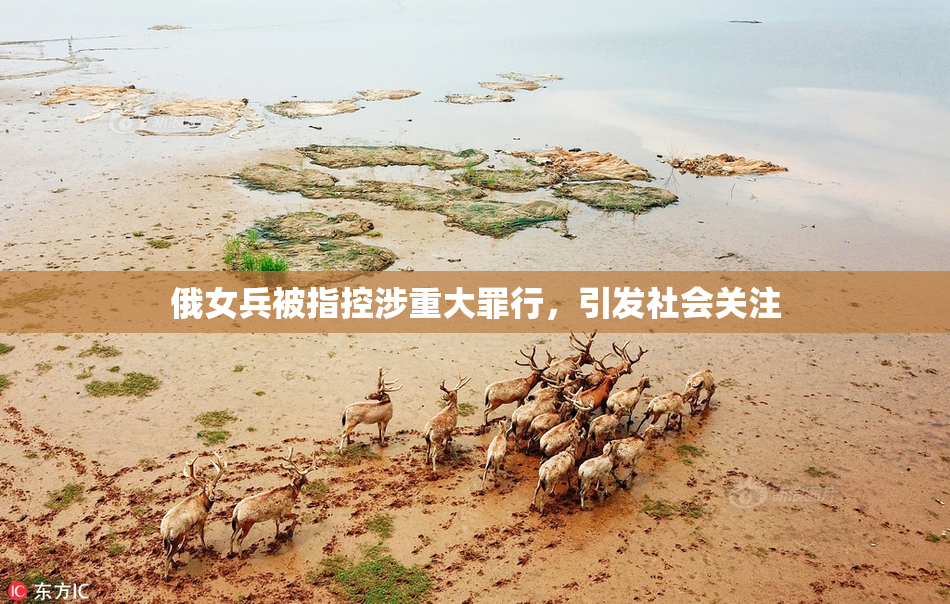 俄女兵被指控涉重大罪行，引发社会关注