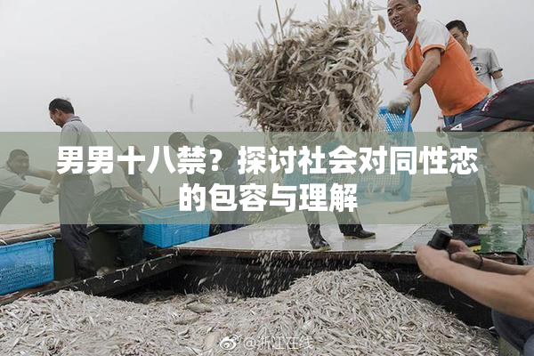 男男十八禁？探讨社会对同性恋的包容与理解