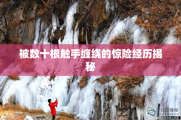 被数十根触手缠绕的惊险经历揭秘