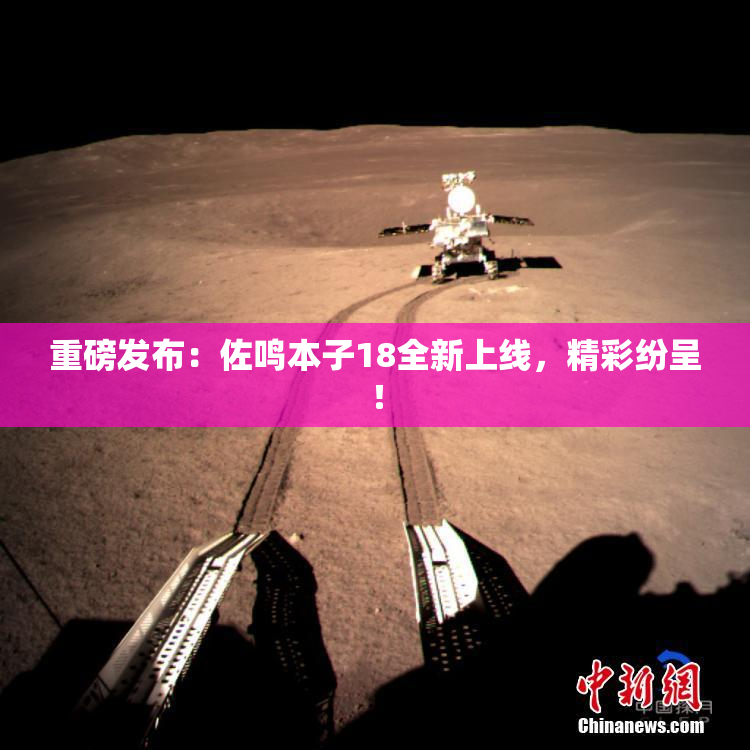 重磅发布：佐鸣本子18全新上线，精彩纷呈！