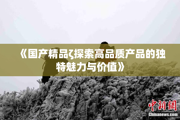 《国产精品ζ探索高品质产品的独特魅力与价值》