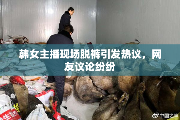 韩女主播现场脱裤引发热议，网友议论纷纷