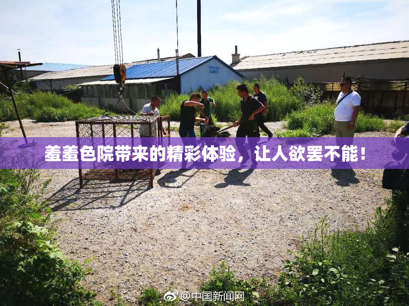 羞羞色院带来的精彩体验，让人欲罢不能！