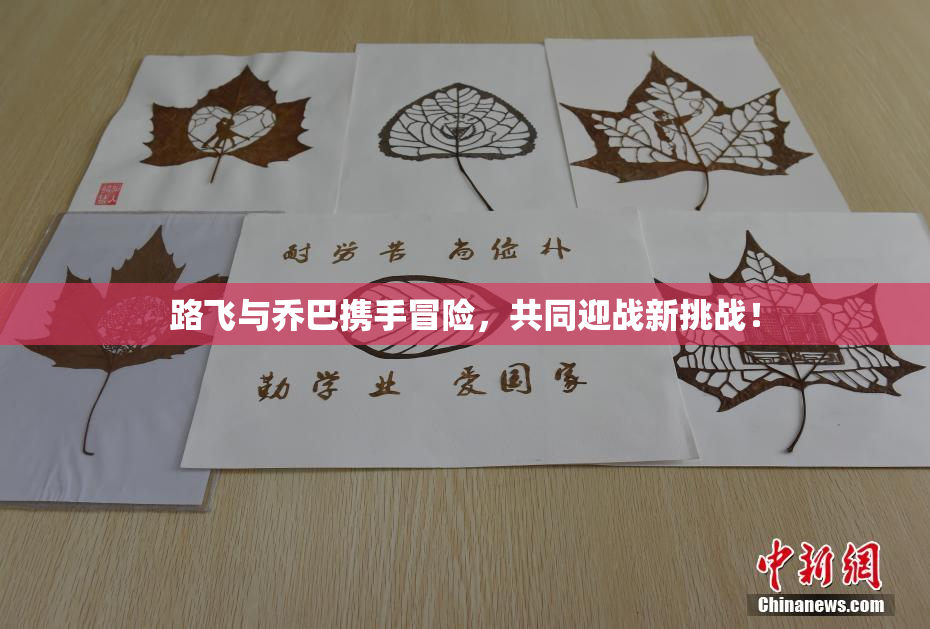 路飞与乔巴携手冒险，共同迎战新挑战！