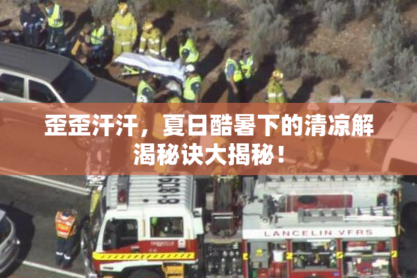歪歪汗汗，夏日酷暑下的清凉解渴秘诀大揭秘！