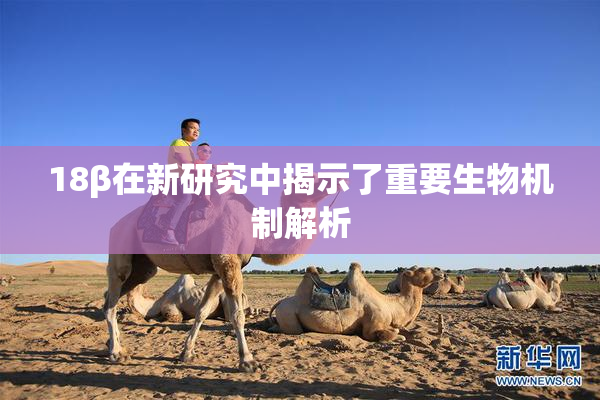 18β在新研究中揭示了重要生物机制解析