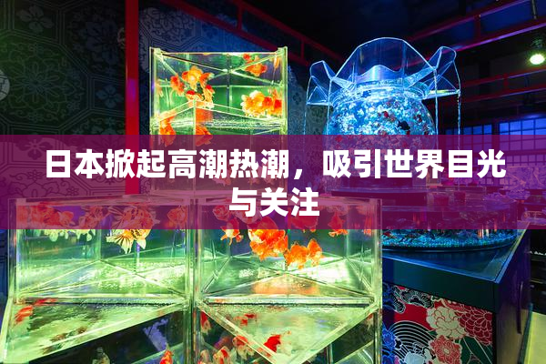 日本掀起高潮热潮，吸引世界目光与关注