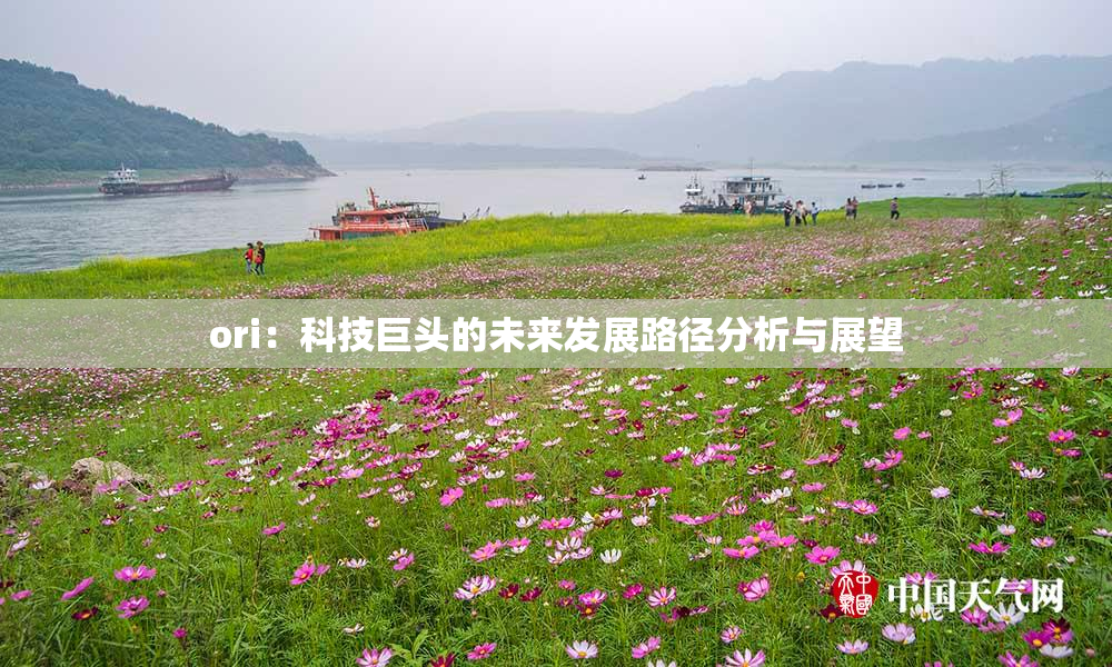 ori：科技巨头的未来发展路径分析与展望