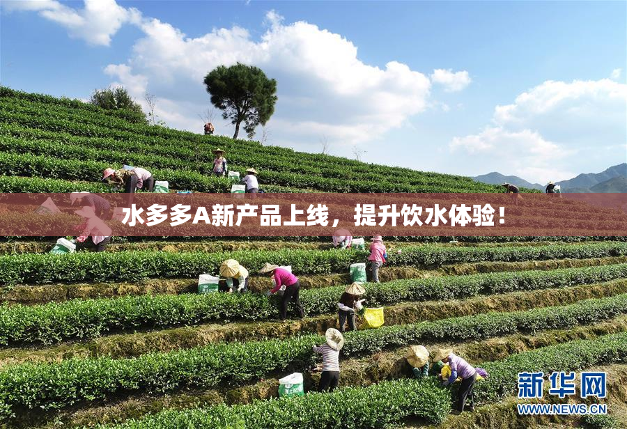 水多多A新产品上线，提升饮水体验！
