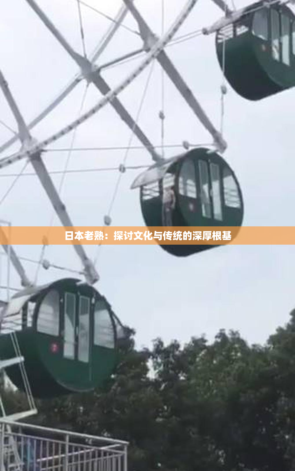 日本老熟：探讨文化与传统的深厚根基