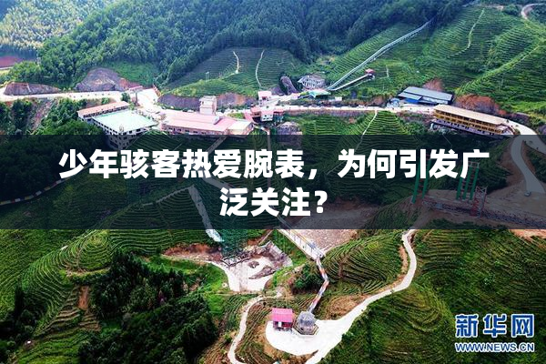 少年骇客热爱腕表，为何引发广泛关注？