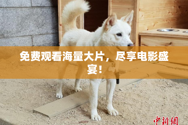 免费观看海量大片，尽享电影盛宴！