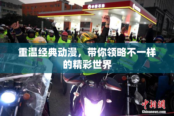重温经典动漫，带你领略不一样的精彩世界