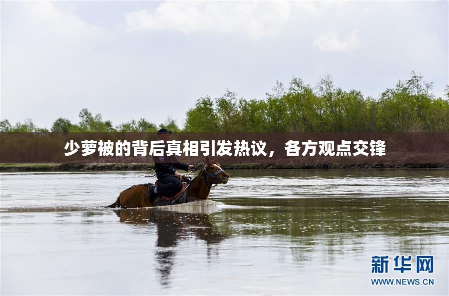 少萝被的背后真相引发热议，各方观点交锋