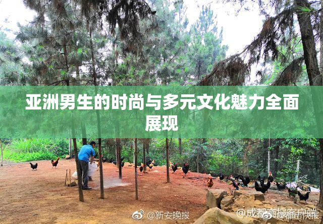 亚洲男生的时尚与多元文化魅力全面展现