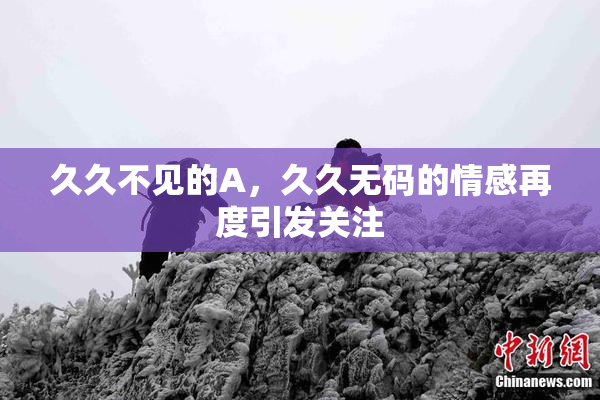 久久不见的A，久久无码的情感再度引发关注