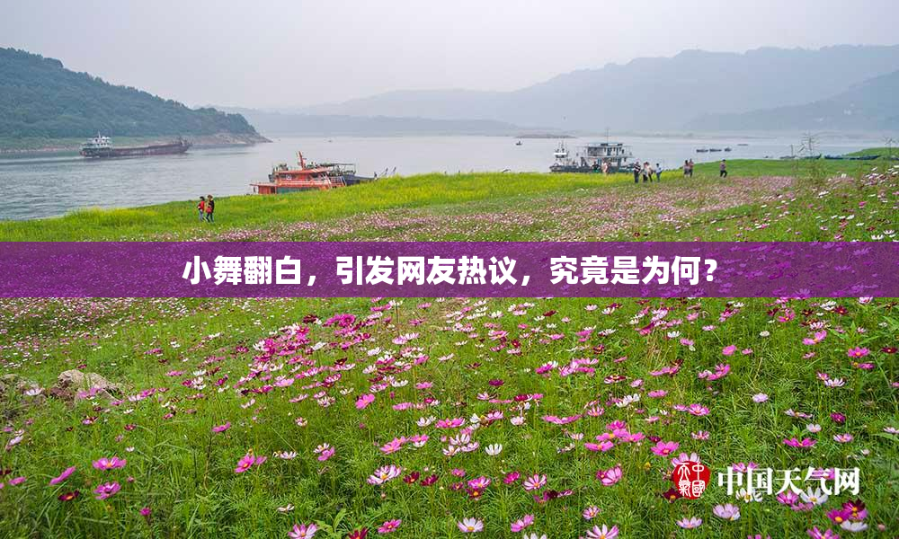 小舞翻白，引发网友热议，究竟是为何？