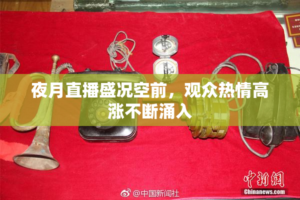 夜月直播盛况空前，观众热情高涨不断涌入